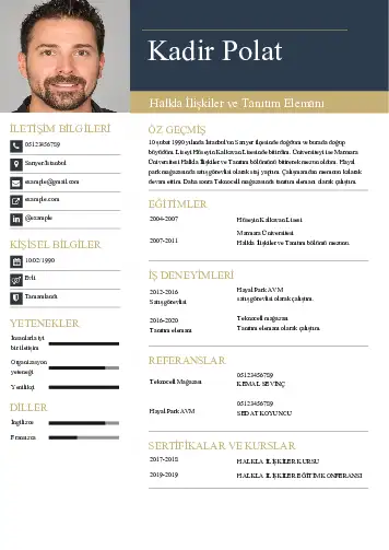 cv indir
